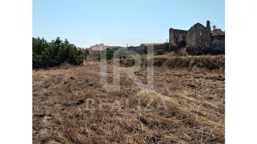 Terreno para Venda em Amora Foto 4