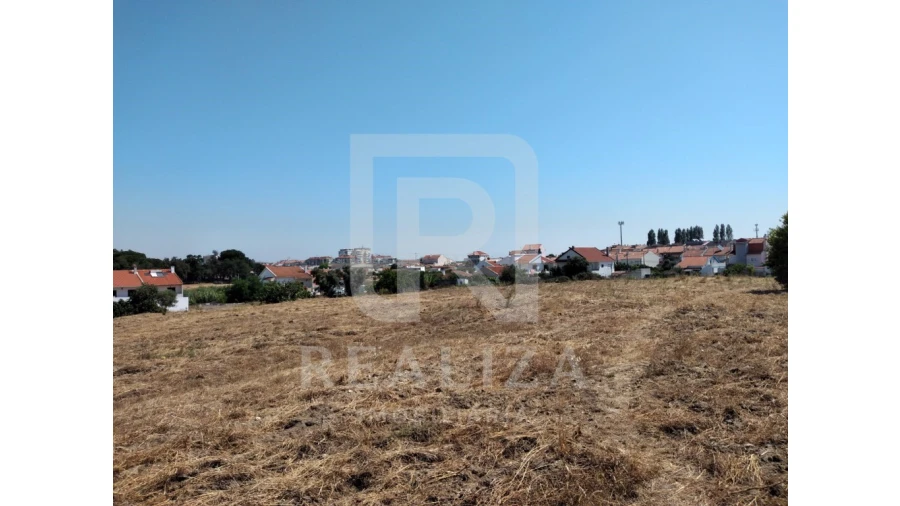 Terreno para Venda em Amora Foto 7