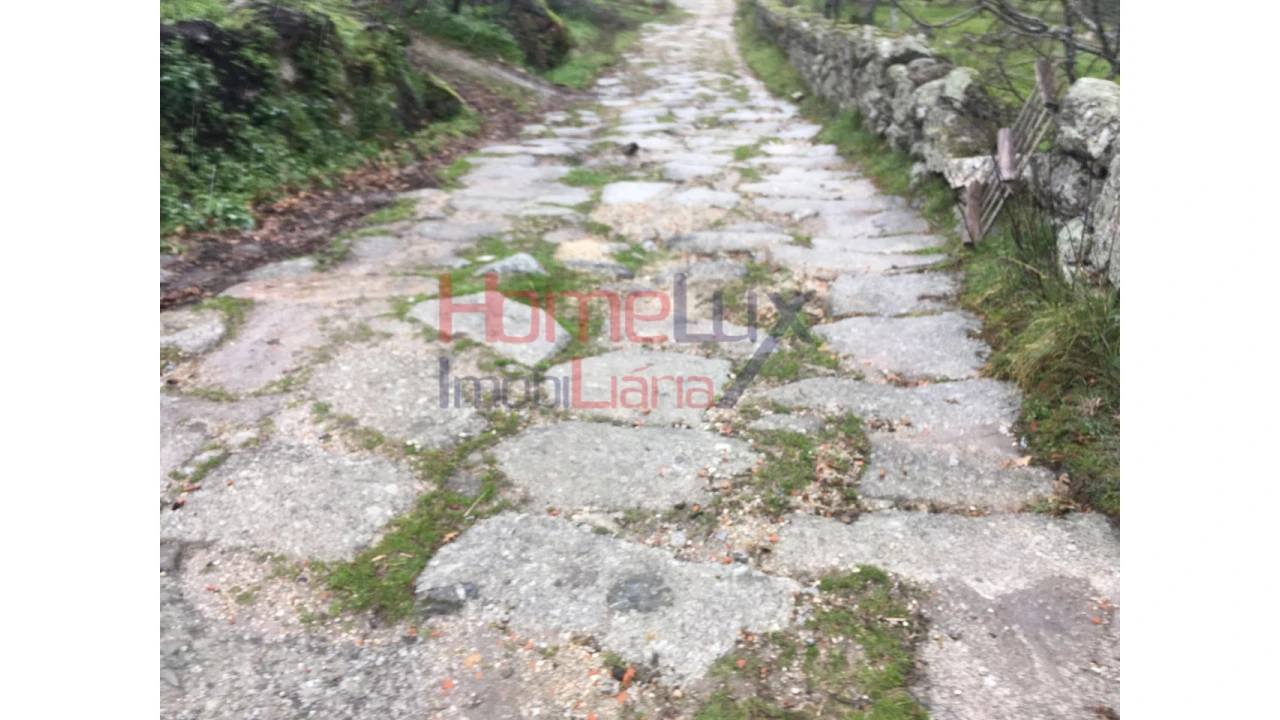 Quinta para Venda em Carrapichana Foto 1