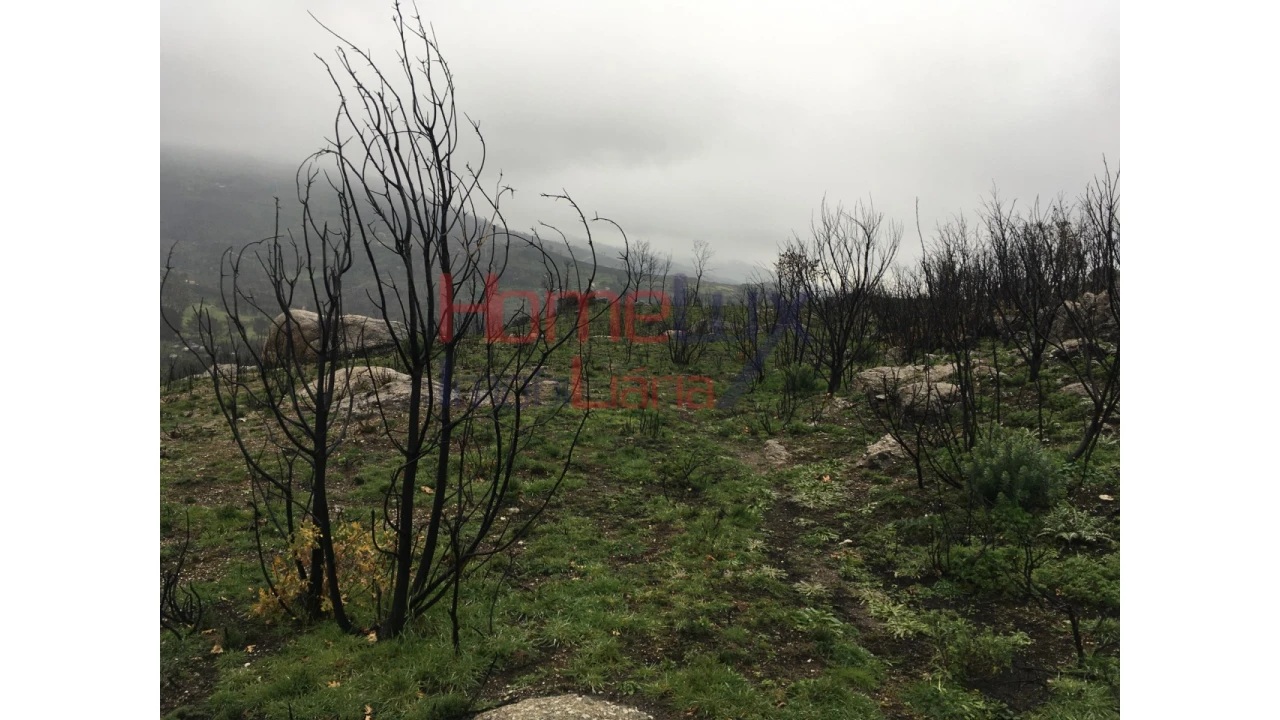 Quinta para Venda em Carrapichana Foto 3