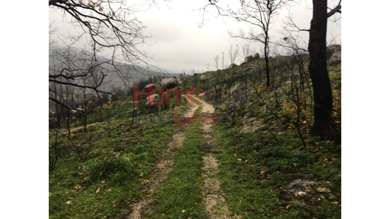 Quinta para Venda em Carrapichana Foto 5