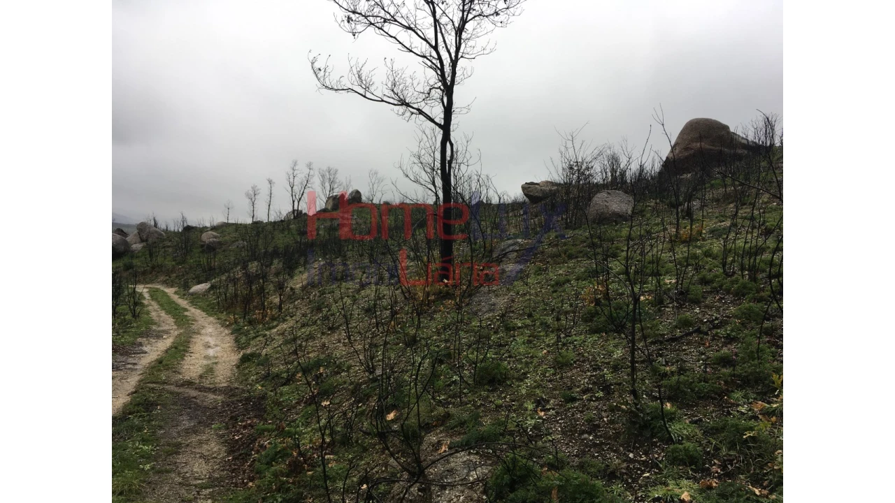 Quinta para Venda em Carrapichana Foto 6