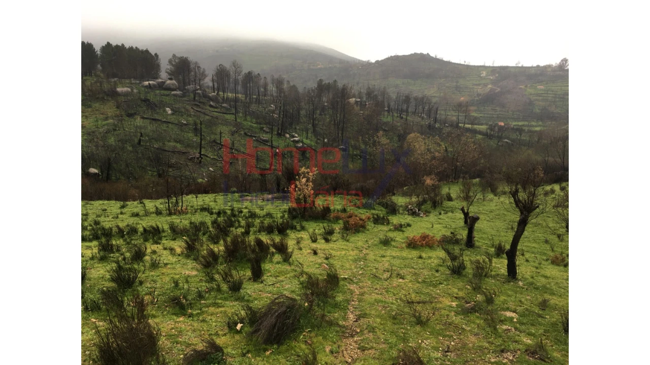 Quinta para Venda em Carrapichana Foto 18