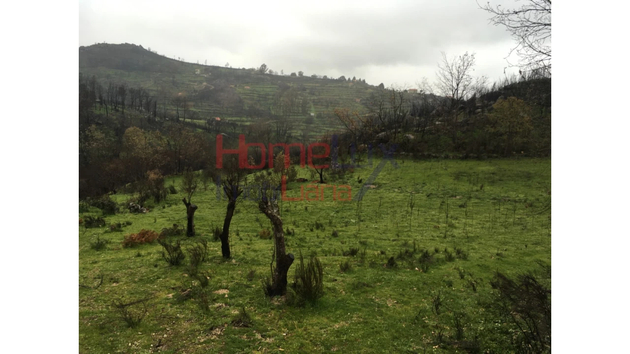 Quinta para Venda em Carrapichana Foto 19