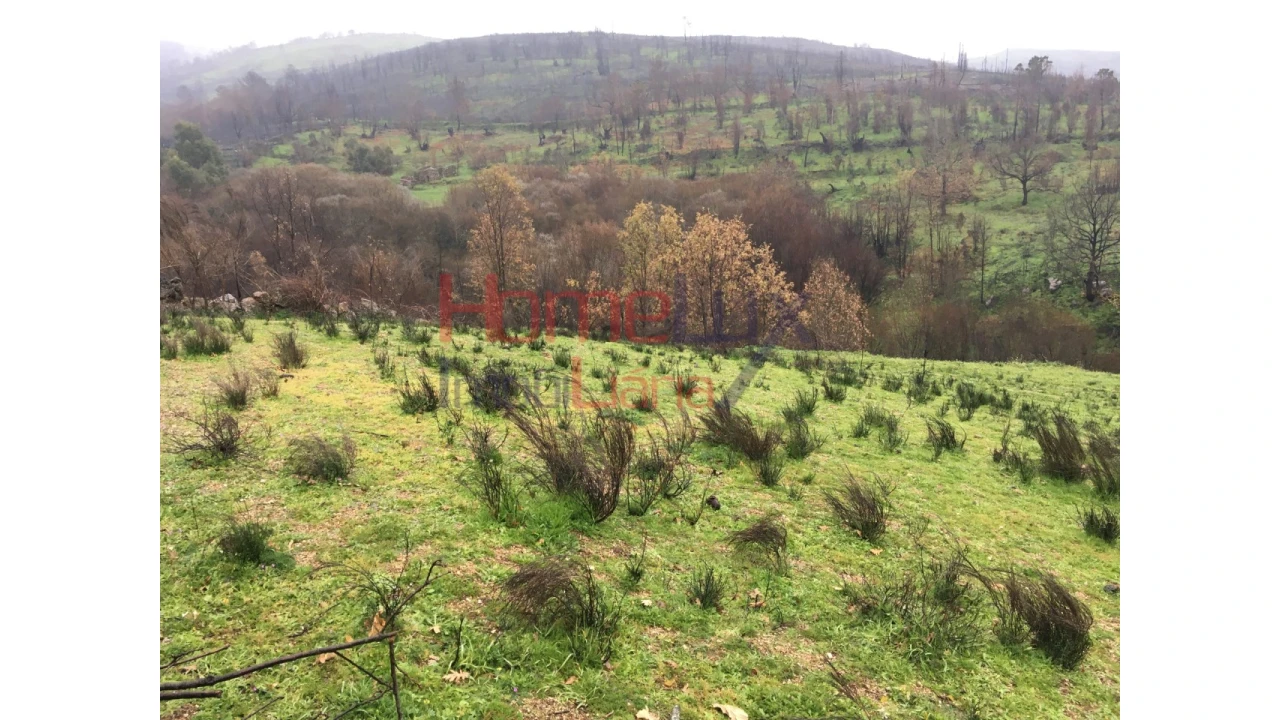 Quinta para Venda em Carrapichana Foto 21