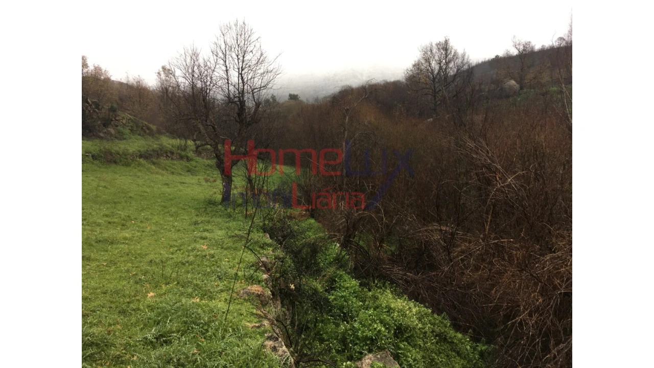 Quinta para Venda em Carrapichana Foto 22