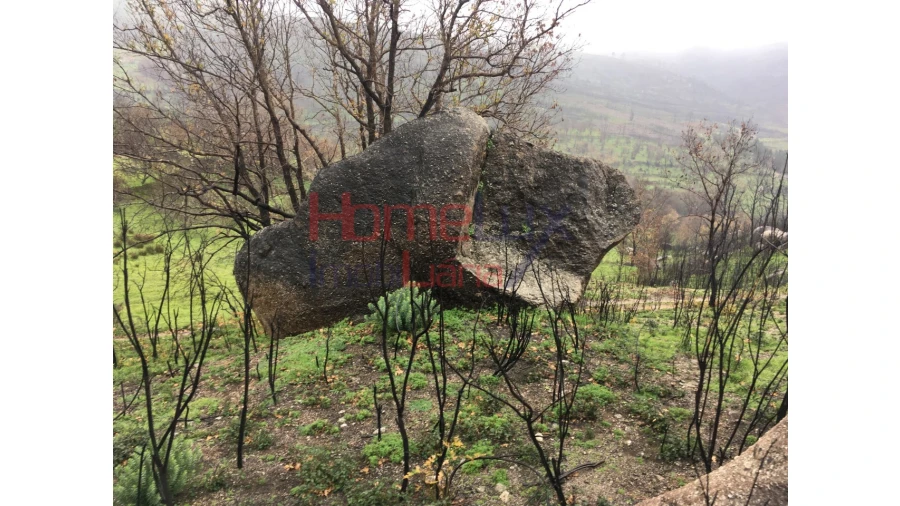 Quinta para Venda em Carrapichana Foto 4