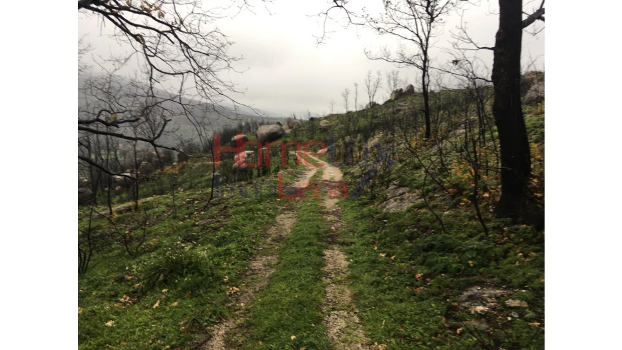 Quinta para Venda em Carrapichana Foto 5