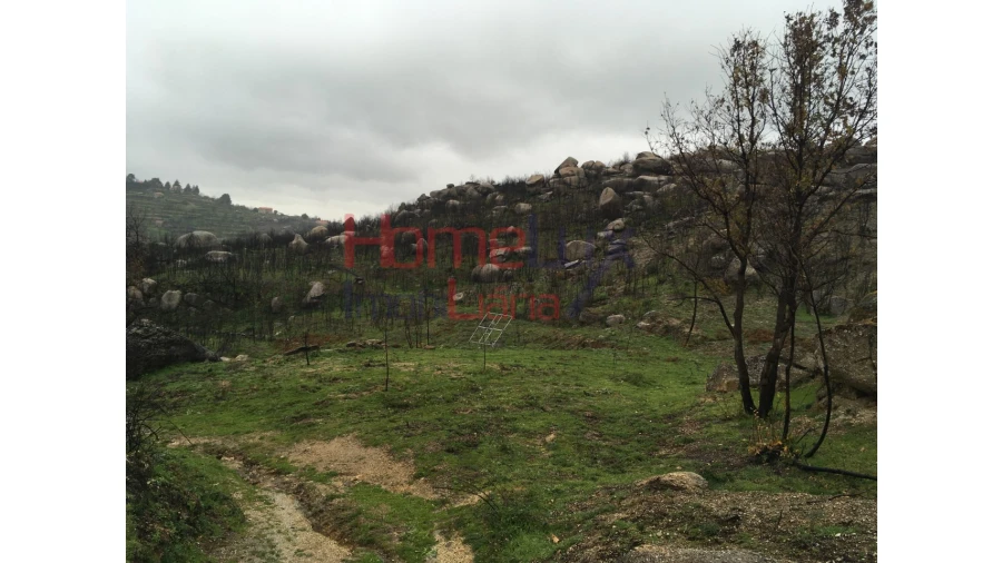 Quinta para Venda em Carrapichana Foto 8