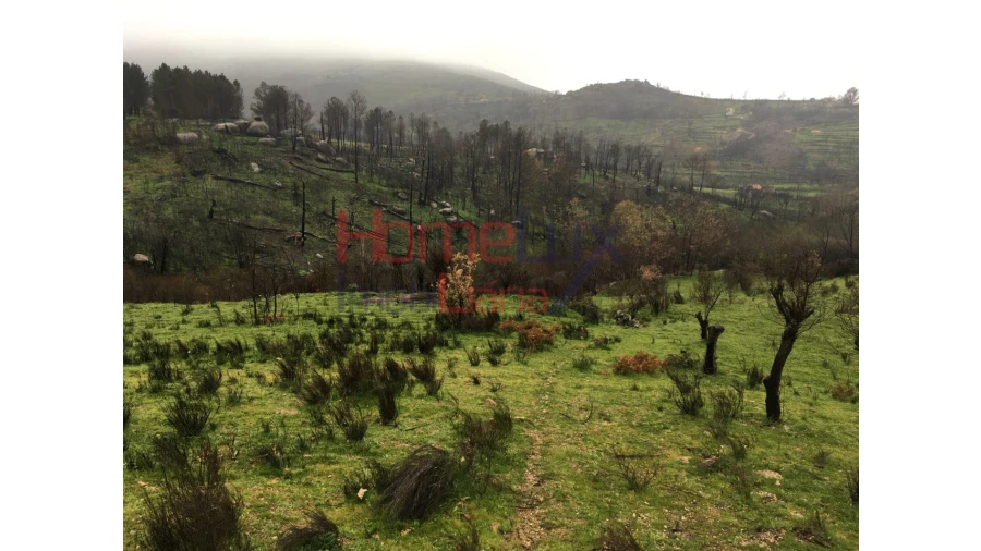 Quinta para Venda em Carrapichana Foto 18