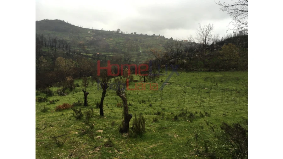 Quinta para Venda em Carrapichana Foto 19