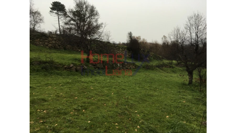 Quinta para Venda em Carrapichana Foto 20