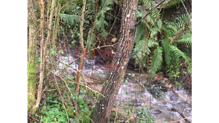 Quinta para Venda em Carrapichana Foto 24