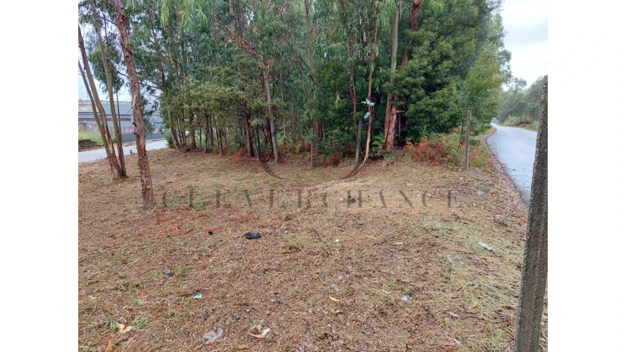 Terreno para Venda em São Felix da Marinha Foto 1