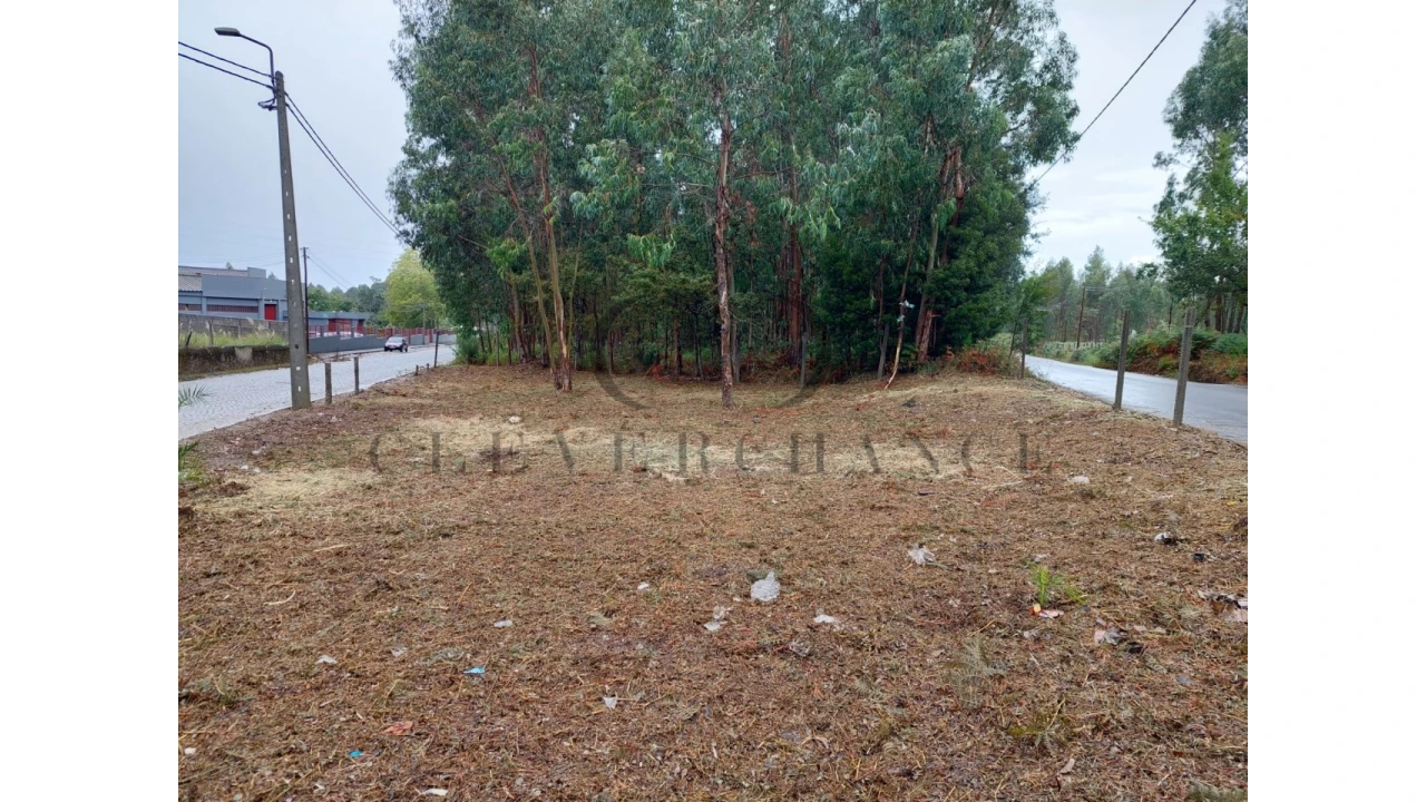 Terreno para Venda em São Felix da Marinha Foto 3