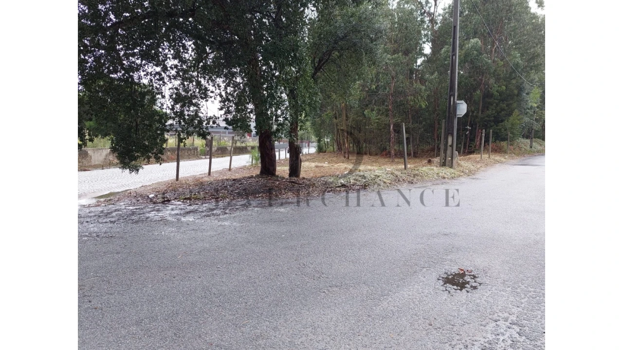 Terreno para Venda em São Felix da Marinha Foto 6