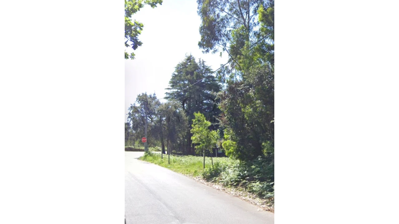 Terreno para Venda em São Felix da Marinha Foto 11