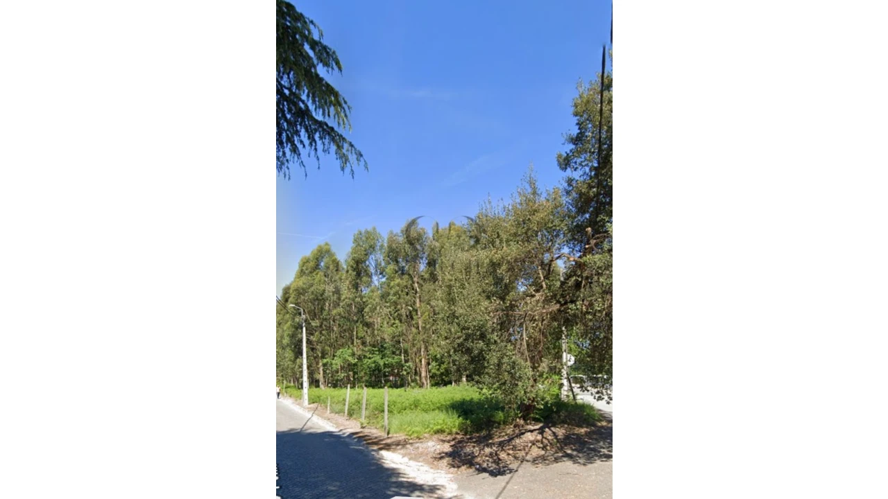 Terreno para Venda em São Felix da Marinha Foto 13