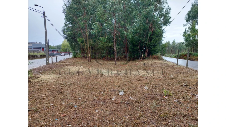 Terreno para Venda em São Felix da Marinha Foto 3