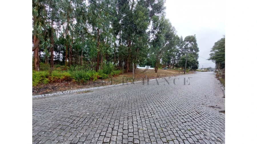 Terreno para Venda em São Felix da Marinha Foto 5