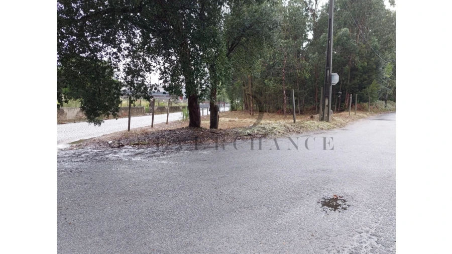 Terreno para Venda em São Felix da Marinha Foto 6