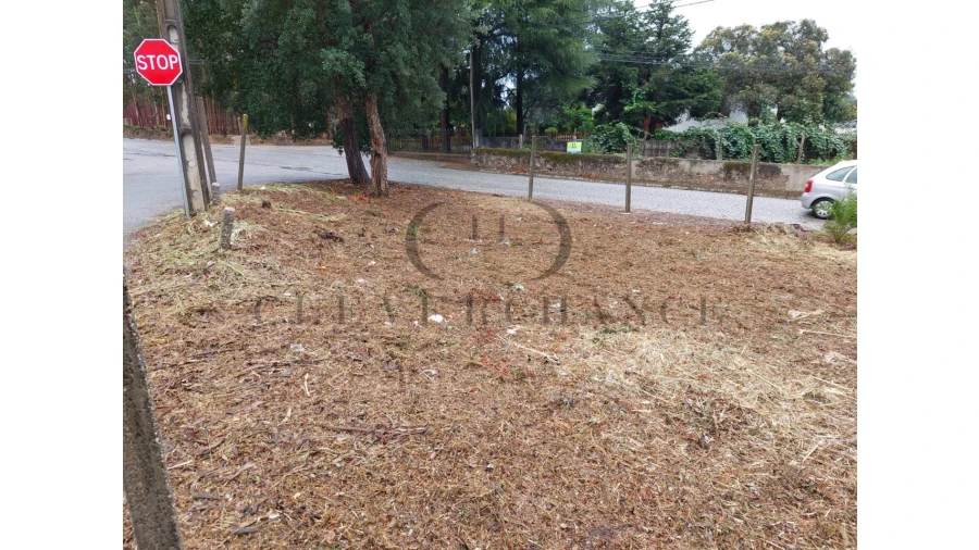 Terreno para Venda em São Felix da Marinha Foto 9
