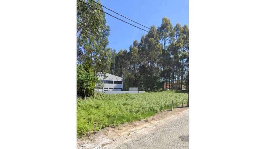 Terreno para Venda em São Felix da Marinha Foto 14