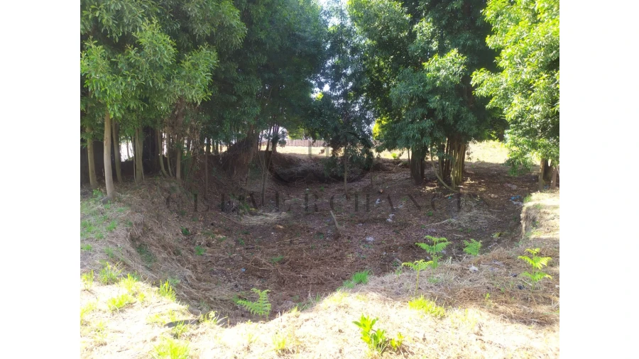 Terreno para Venda em Pedroso e Seixezelo Foto 3