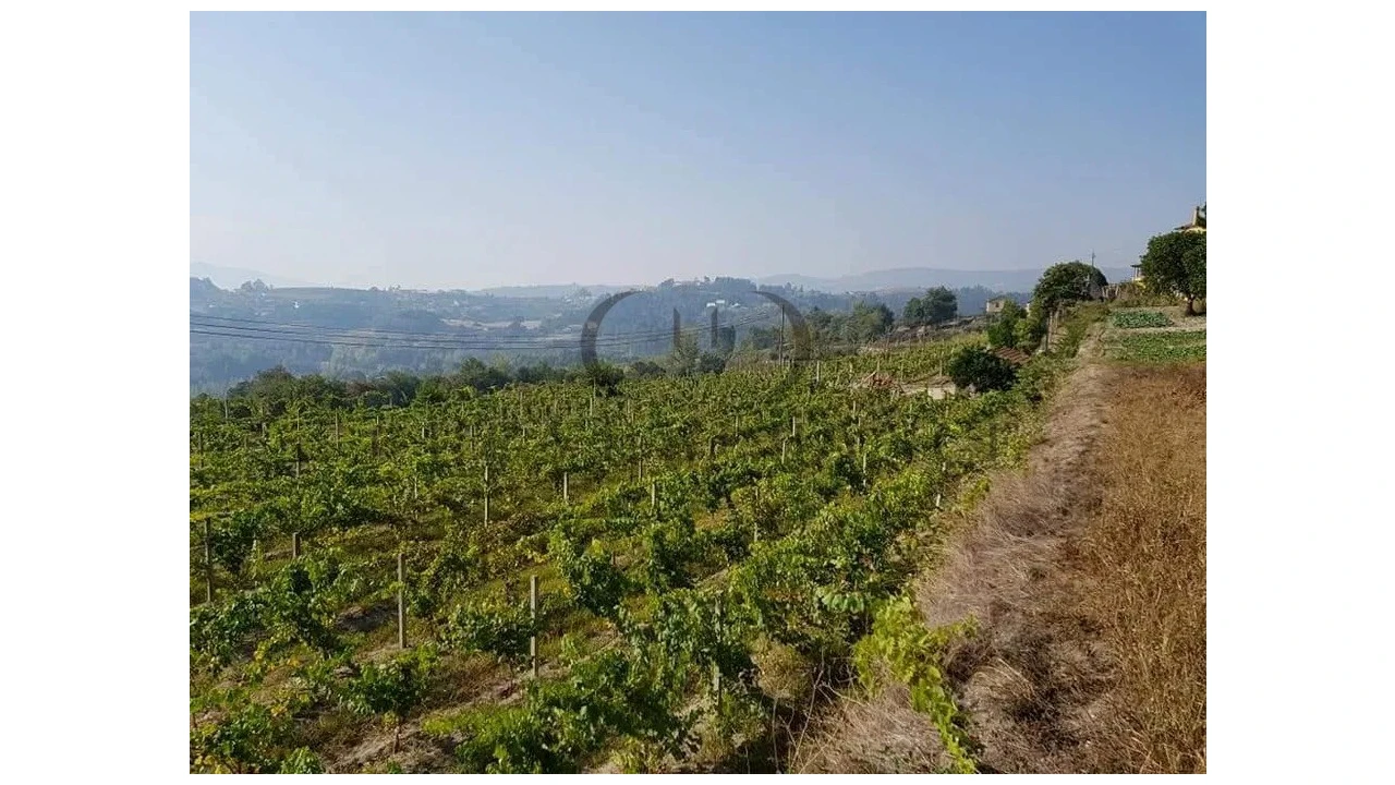 Quinta T21 para Venda em Constance Foto 3