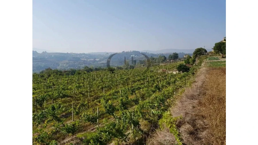 Quinta T21 para Venda em Constance Foto 3