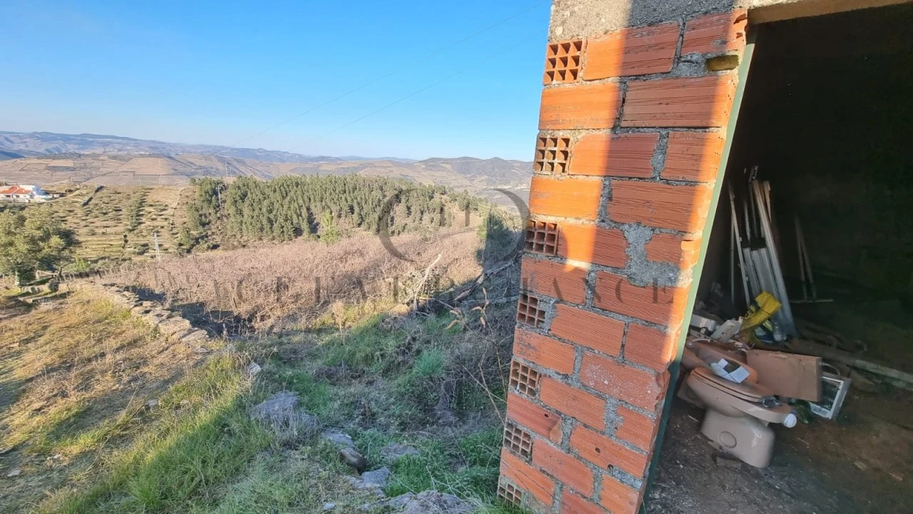 Terreno Misto para Venda em Tabuaço Foto 4