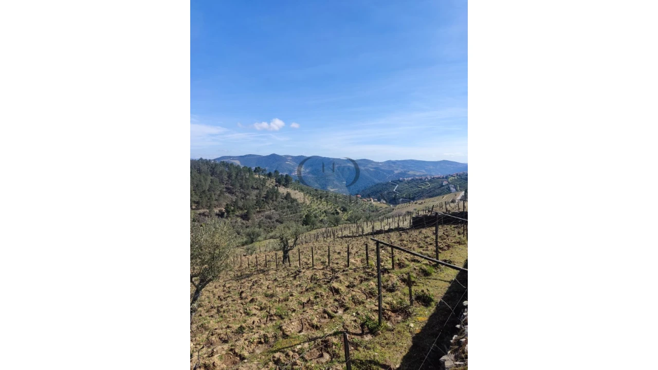 Terreno Misto para Venda em Tabuaço Foto 7