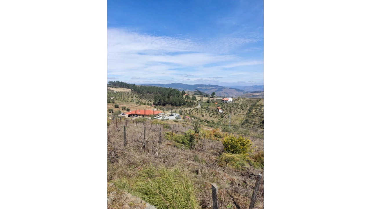 Terreno Misto para Venda em Tabuaço Foto 10