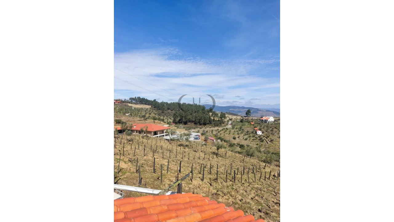 Terreno Misto para Venda em Tabuaço Foto 11