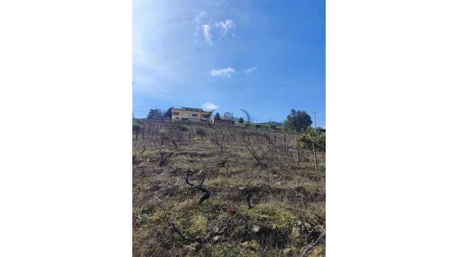 Terreno Misto para Venda em Tabuaço Foto 8