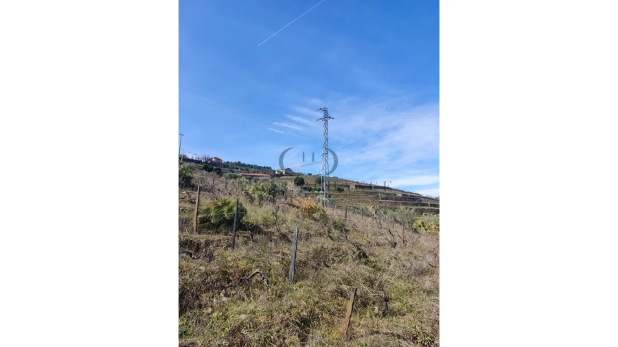Terreno Misto para Venda em Tabuaço Foto 9