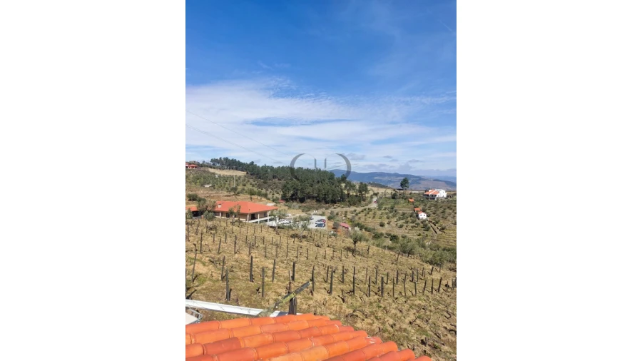 Terreno Misto para Venda em Tabuaço Foto 11