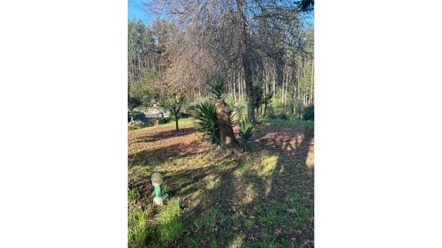 Moradia T3 para Venda em Pedroso e Seixezelo Foto 23