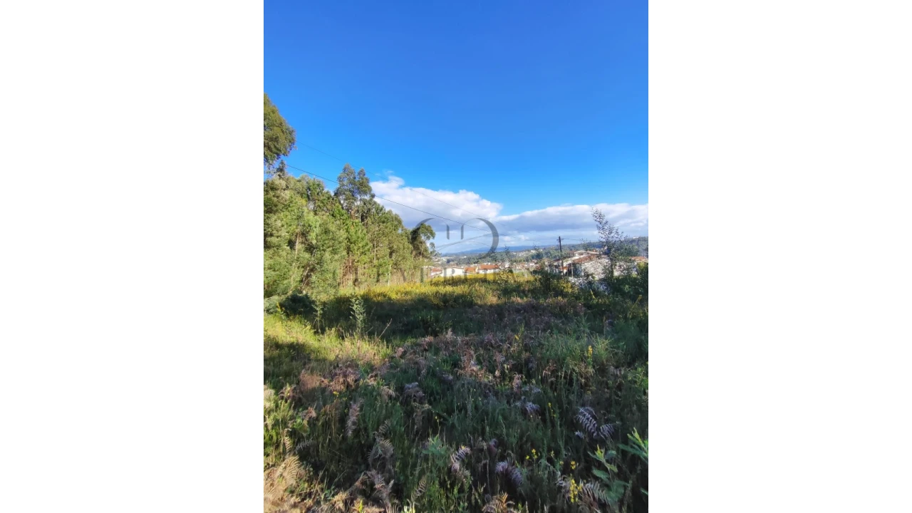 Terreno para Venda em Argoncilhe Foto 3