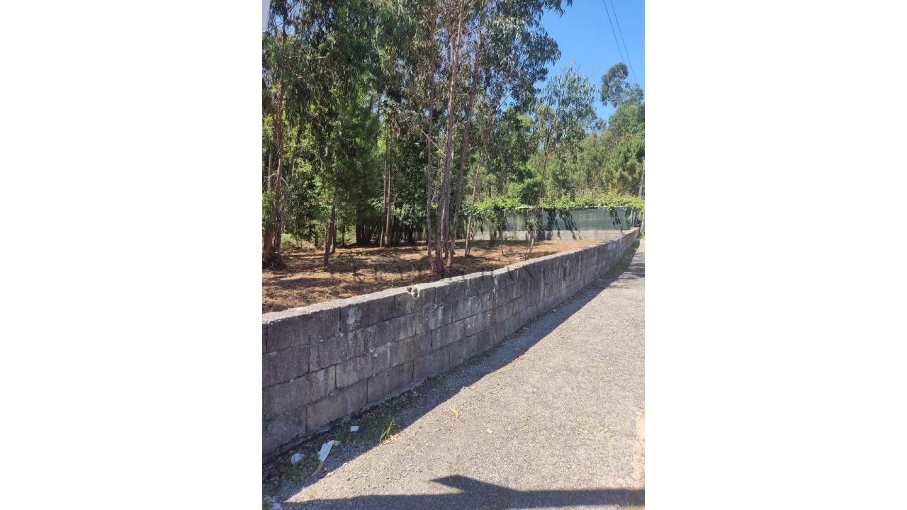 Terreno para Venda em Milheiros de Poiares Foto 2