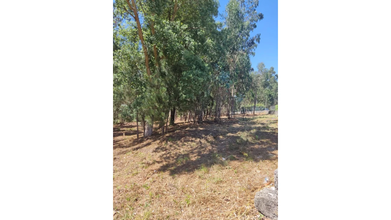 Terreno para Venda em Milheiros de Poiares Foto 6