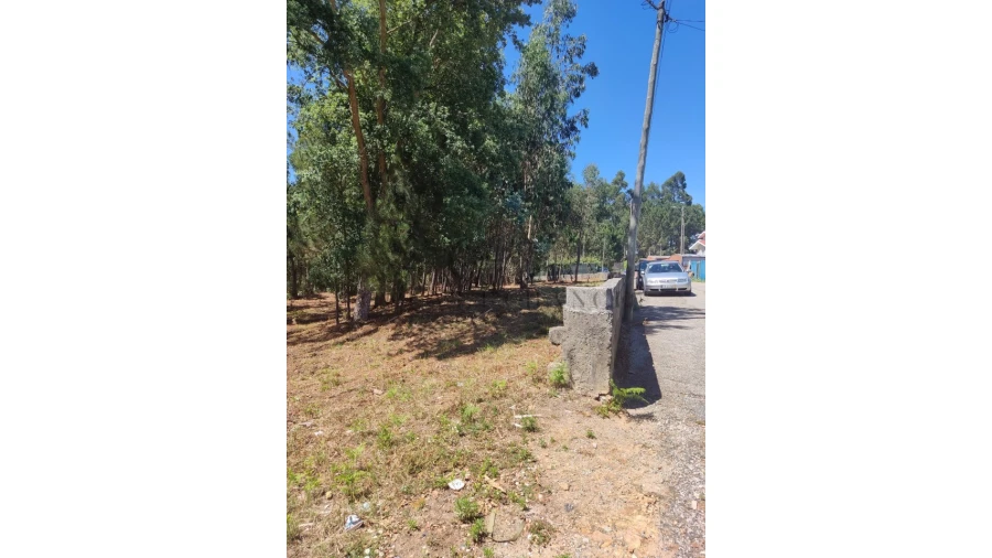 Terreno para Venda em Milheiros de Poiares Foto 3