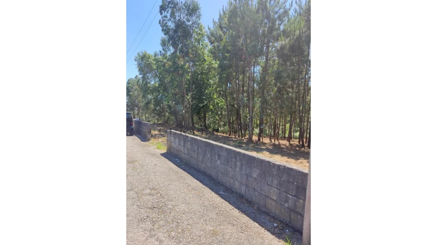 Terreno para Venda em Milheiros de Poiares Foto 4