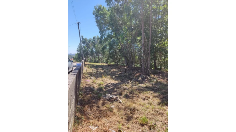 Terreno para Venda em Milheiros de Poiares Foto 5