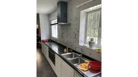 Quinta T10 para Venda em Penafiel