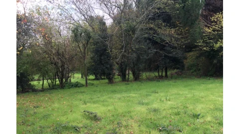 Quinta T10 para Venda em Penafiel