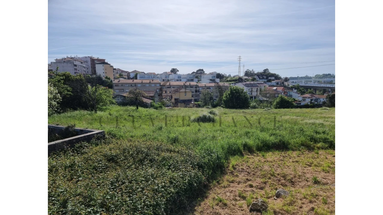 Terreno para Venda em Oliveira do Douro Foto 2
