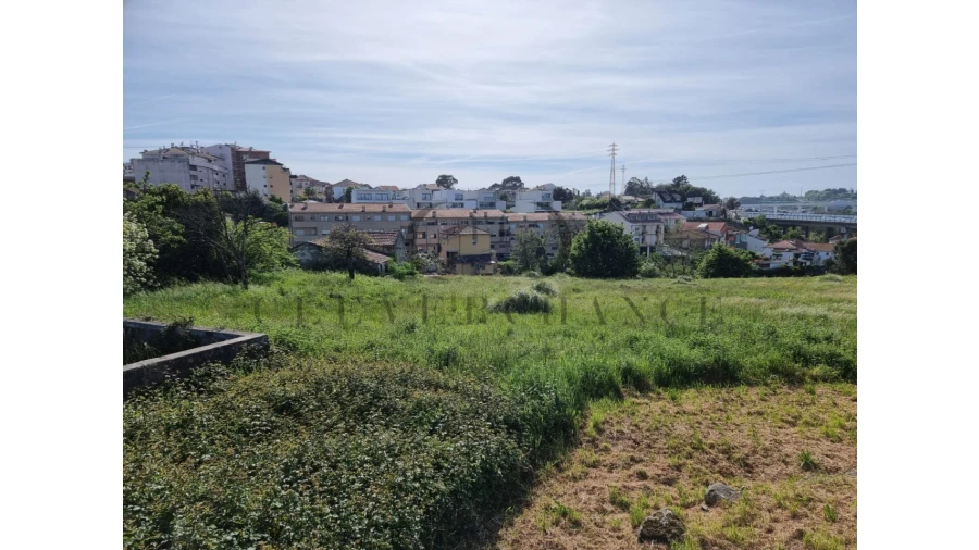 Terreno para Venda em Oliveira do Douro Foto 2