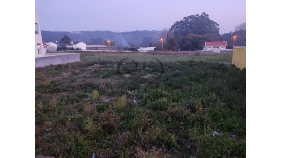 Terreno para Venda em Madalena Foto 2