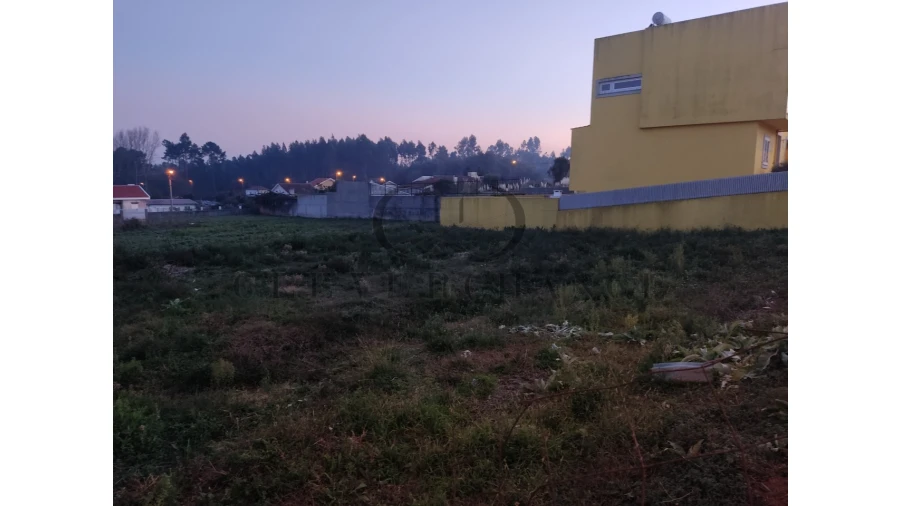 Terreno para Venda em Madalena Foto 4